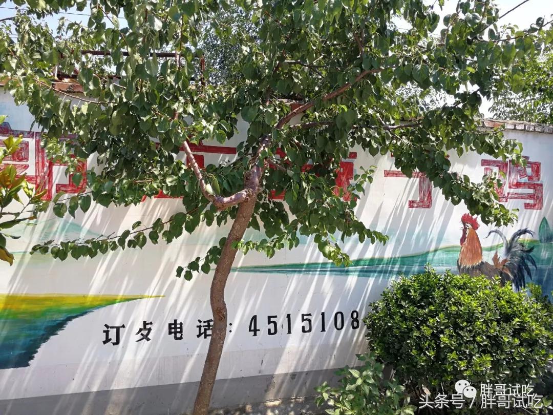 胖哥试吃大煎饼,胖哥试吃骰子糖