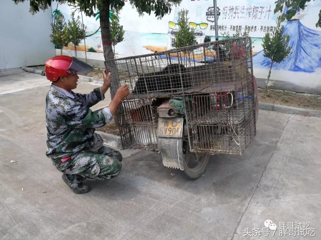 胖哥试吃大煎饼,胖哥试吃骰子糖