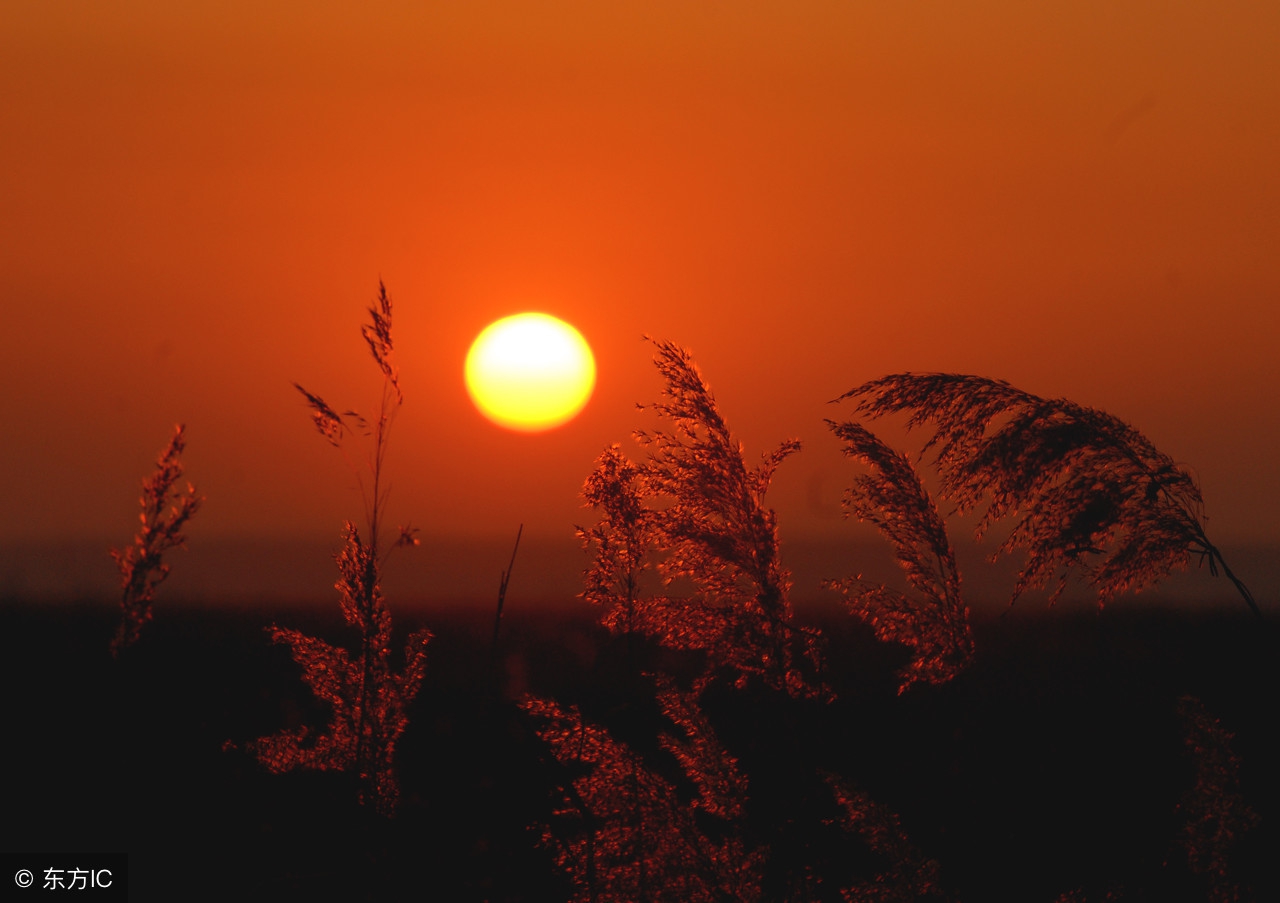 把吴钩看了栏杆拍遍无人会登临意辛弃疾的英雄泪你可能体会?