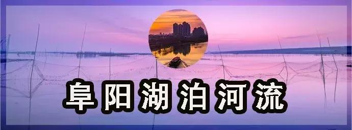 赞！这个20岁女孩把阜阳穿到了身上，竟然还美成这样