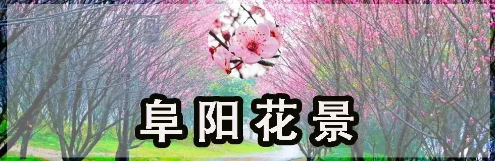 赞！这个20岁女孩把阜阳穿到了身上，竟然还美成这样