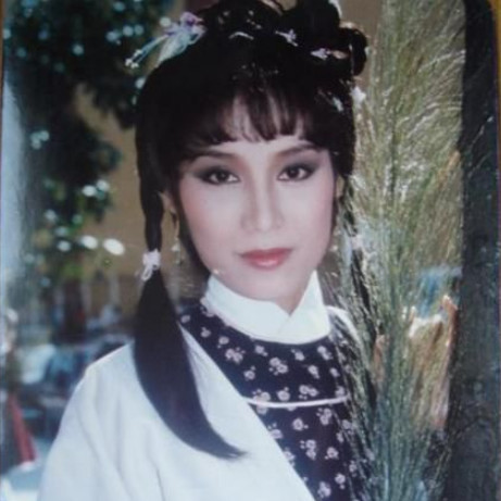 杨不悔谁演的最好,演杨不悔的人是谁