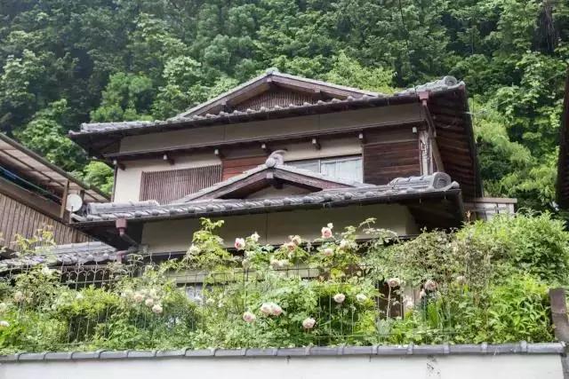 日本旅游最佳民宿,日本旅游民宿推荐