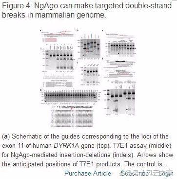 韩春雨论文完整版,韩春雨撤稿反思