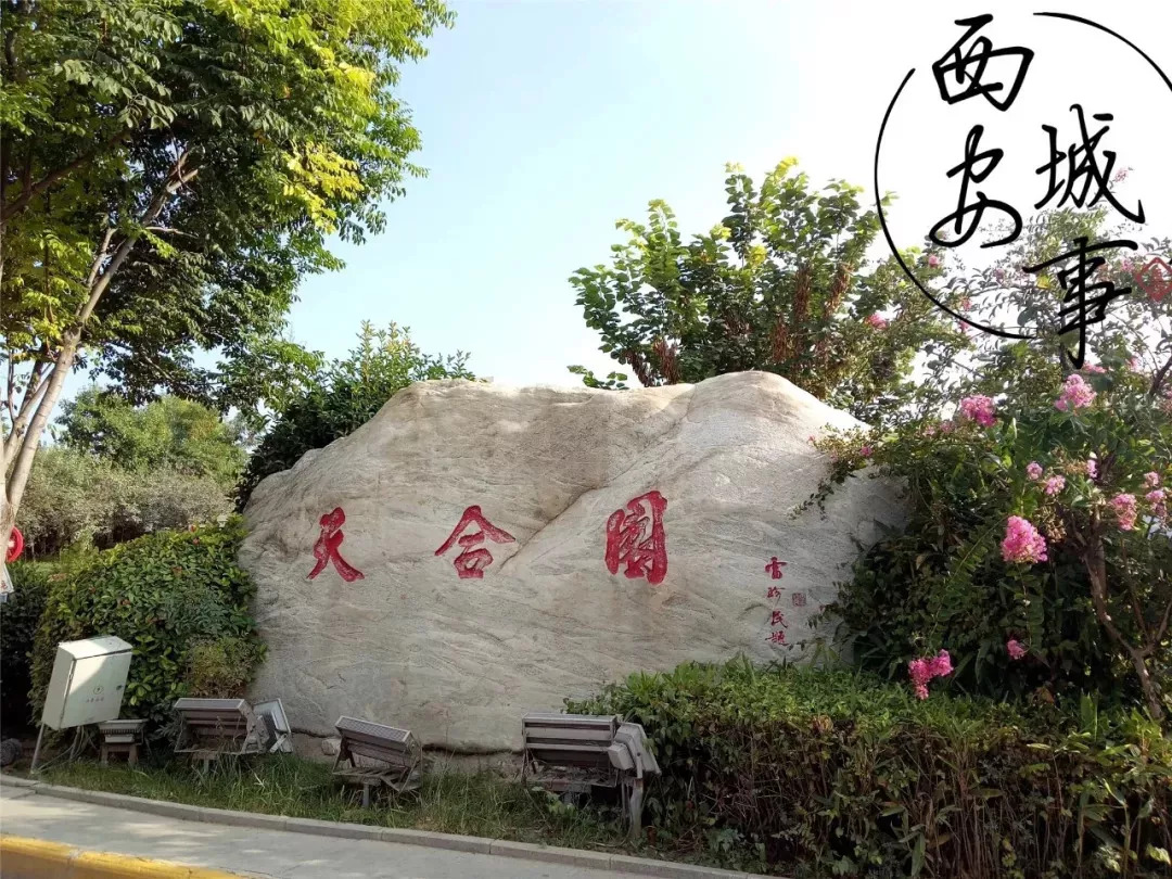 渭南合阳暴雪,渭南合阳中学