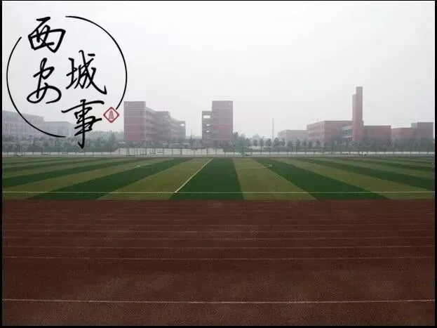 渭南合阳暴雪,渭南合阳中学