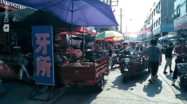 渭南合阳暴雪,渭南合阳中学