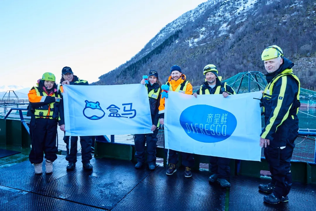 盒马最便宜帝王蟹,盒马帝王蟹视频