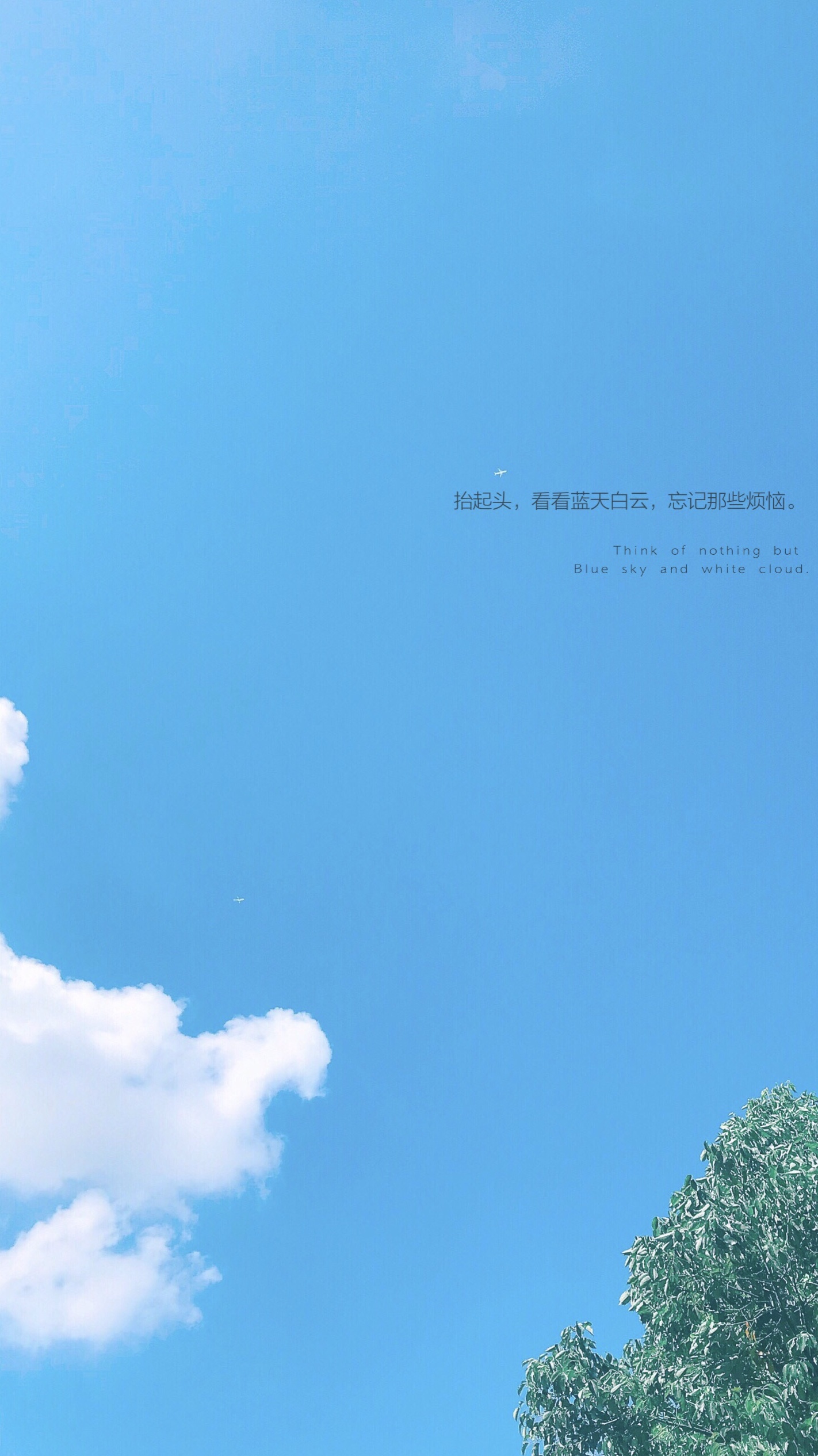 手机壁纸自己制作小程序,怎么制作手机壁纸自己用