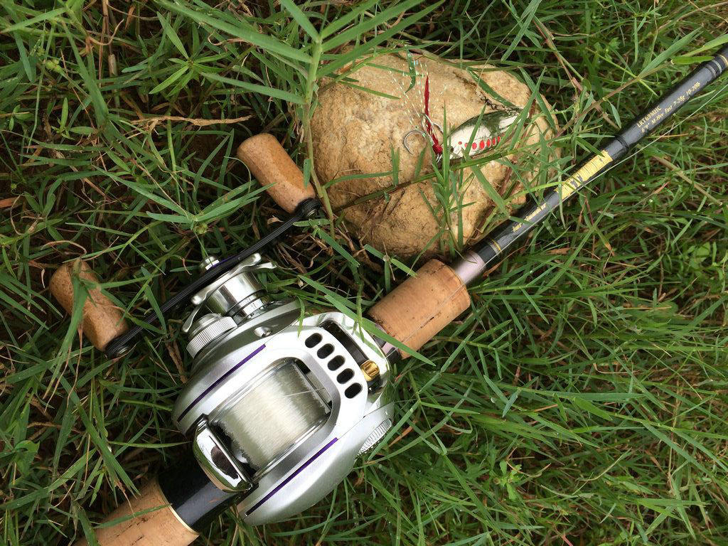 此鱼游泳迅速,行动敏捷,被广大钓友称为“水老虎”