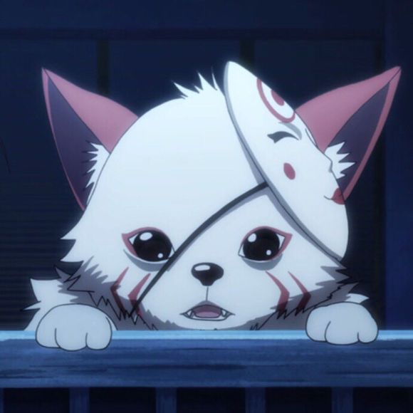 阴阳师ssr四种形态,阴阳师各个颜色的达摩