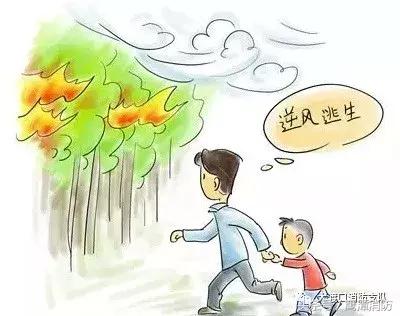 野外大火中的自救方法,野外起火小妙招