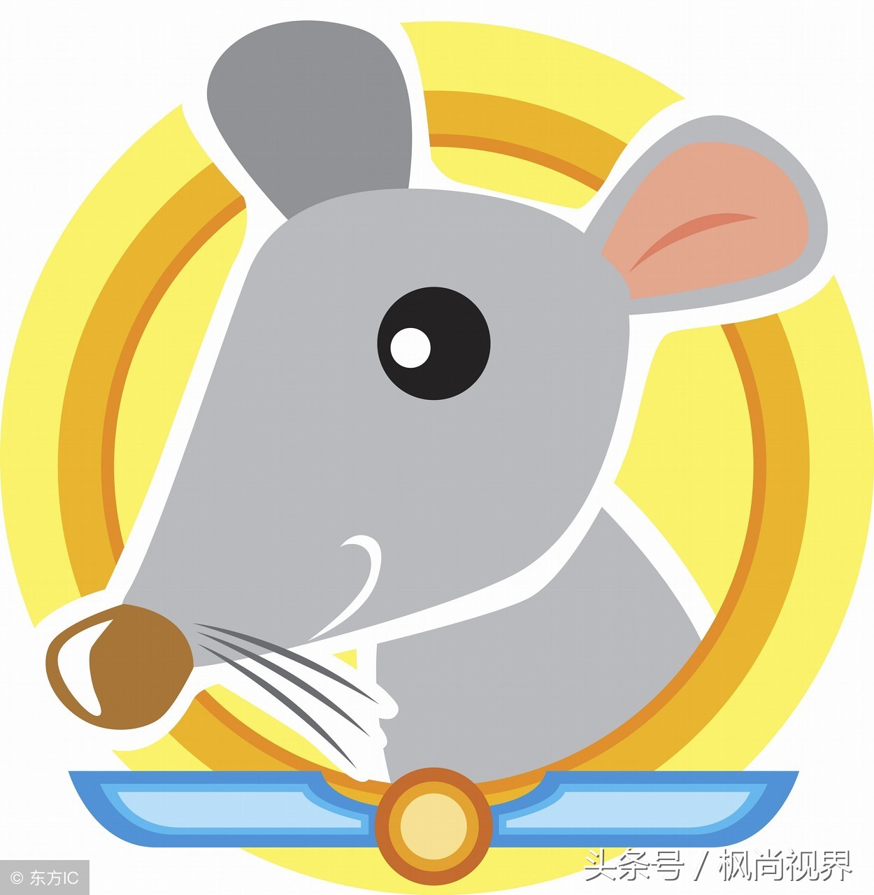 12生肖隐藏的秘密你知道多少,12生肖的各种冷知识