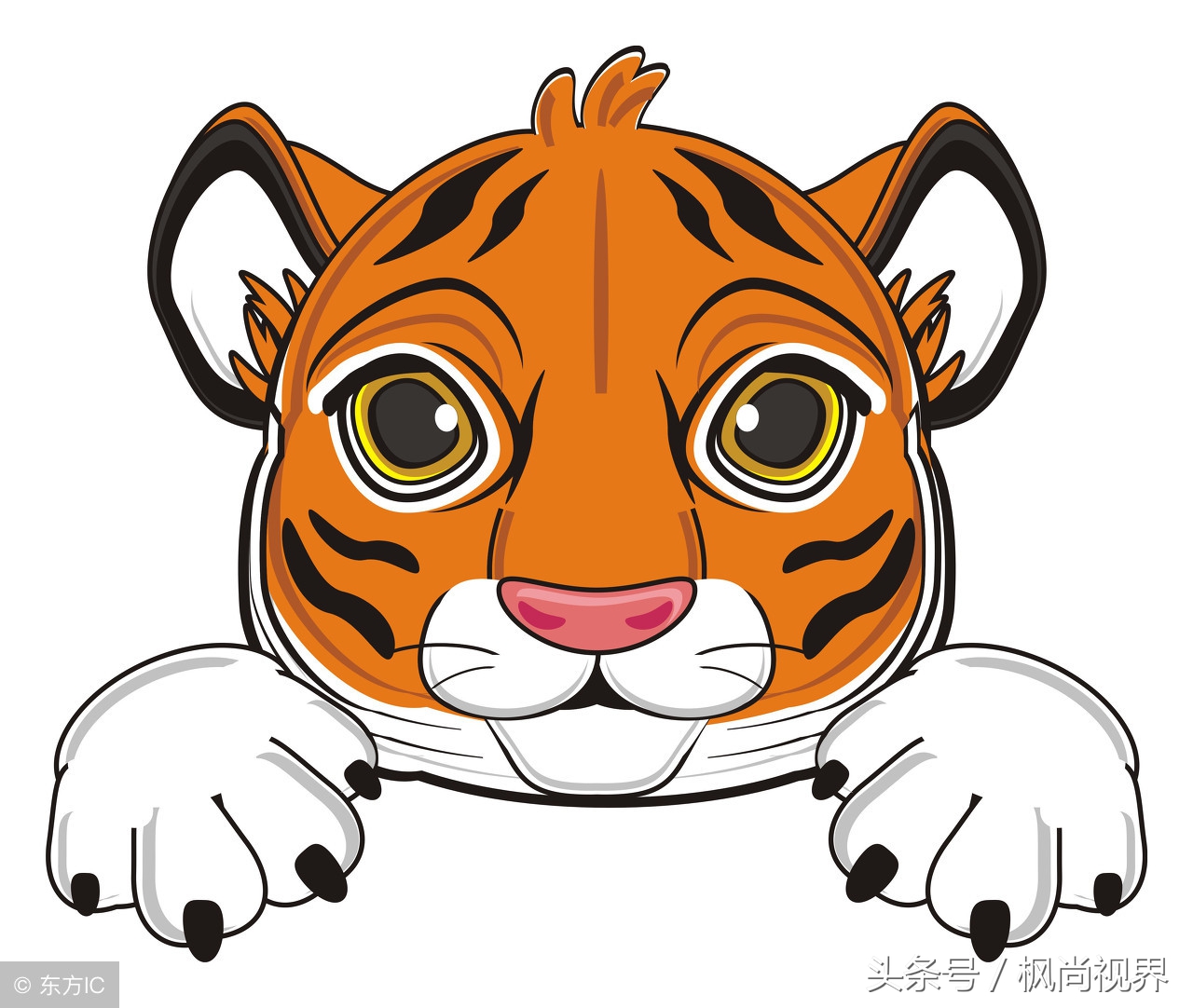 12生肖隐藏的秘密你知道多少,12生肖的各种冷知识