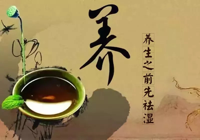 秋天养脾胃泡什么喝,入秋后煮它喝去湿毒