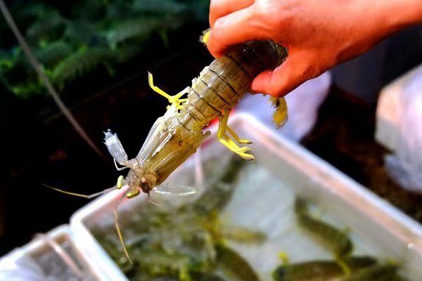 三亚海边旅游攻略自由行,三亚旅行详细攻略自由行