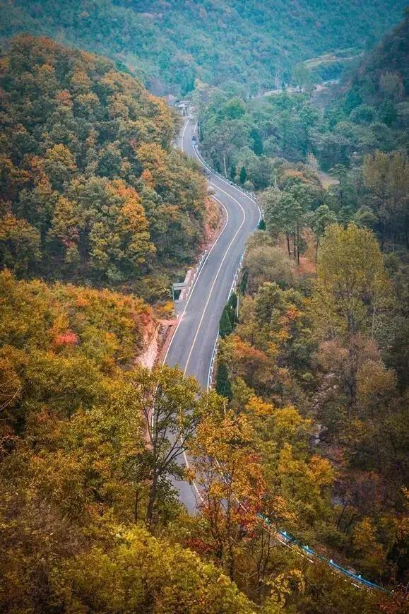 河南有座小县城,河南一座低调的古镇