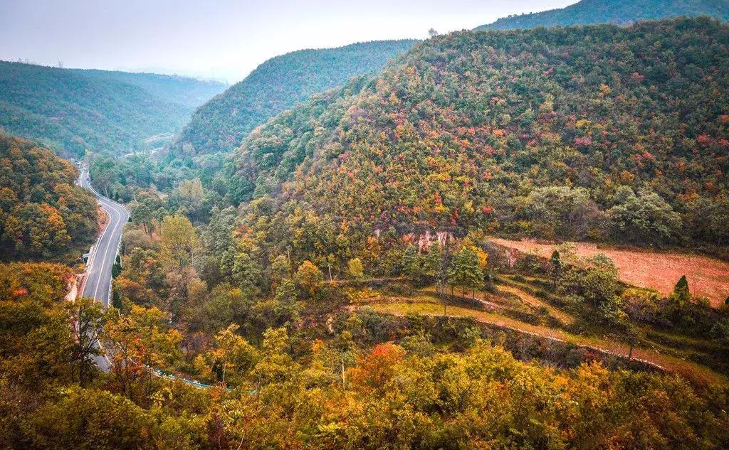河南有座小县城,河南一座低调的古镇