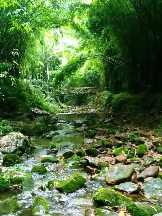 成都的5a景点有哪些,成都周边的5a景区有哪些