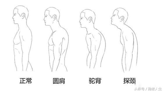 健身不仅可以增肌减肥，还能“矫正驼背”！