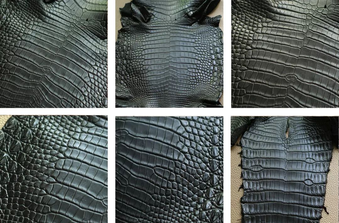 鳄鱼皮皮鞋怎样护理视频,鳄鱼皮保养修复