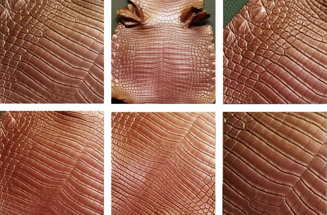 鳄鱼皮皮鞋怎样护理视频,鳄鱼皮保养修复