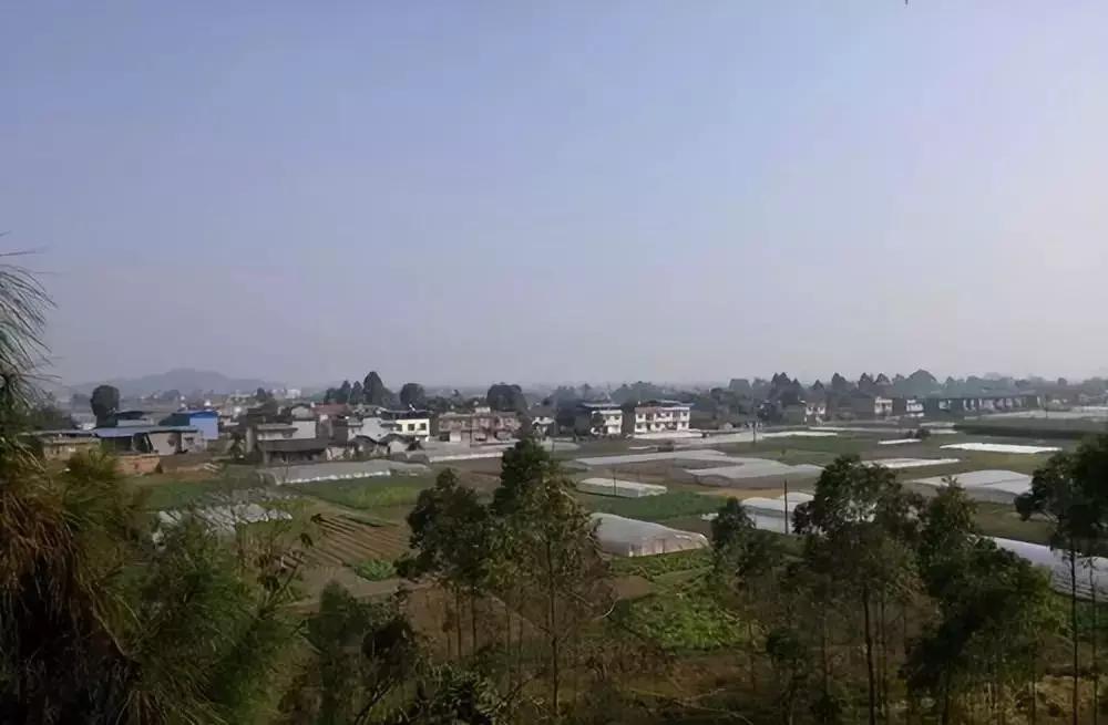 住在乐山杨湾乡的快乐,是一般人想象不到的……