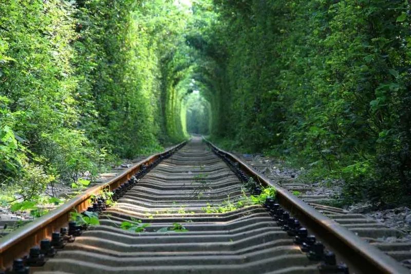 全域旅游直通车浦口,江宁免费旅游直通车