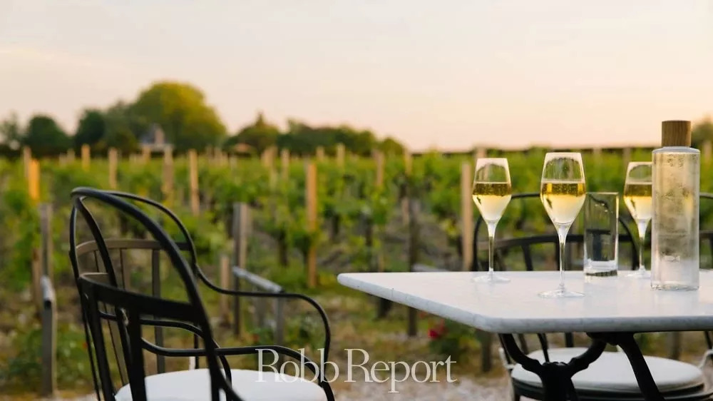 琼瑶杯·美酒丨这个秋天来一场与香槟的冒险之旅