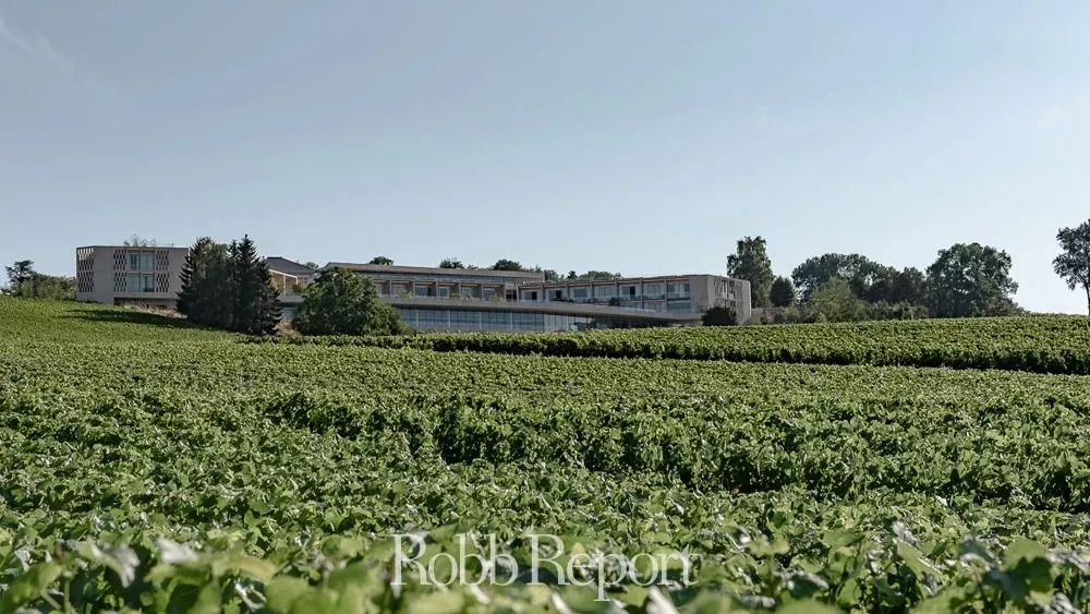 琼瑶杯·美酒丨这个秋天来一场与香槟的冒险之旅