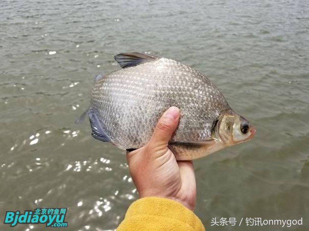 我要当农民段子,我要当农民完整版