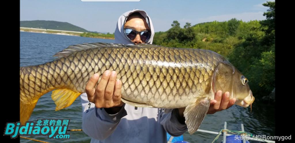 我要当农民段子,我要当农民完整版