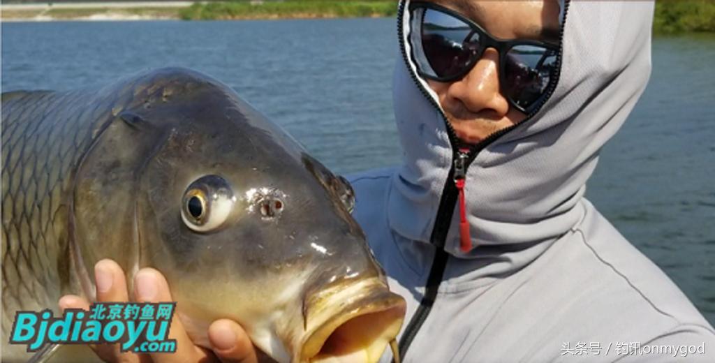 我要当农民段子,我要当农民完整版