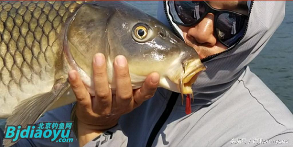 我要当农民段子,我要当农民完整版