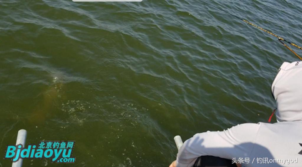 我要当农民段子,我要当农民完整版