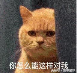 傅恒死后许凯哭的视频,许凯和傅恒结局