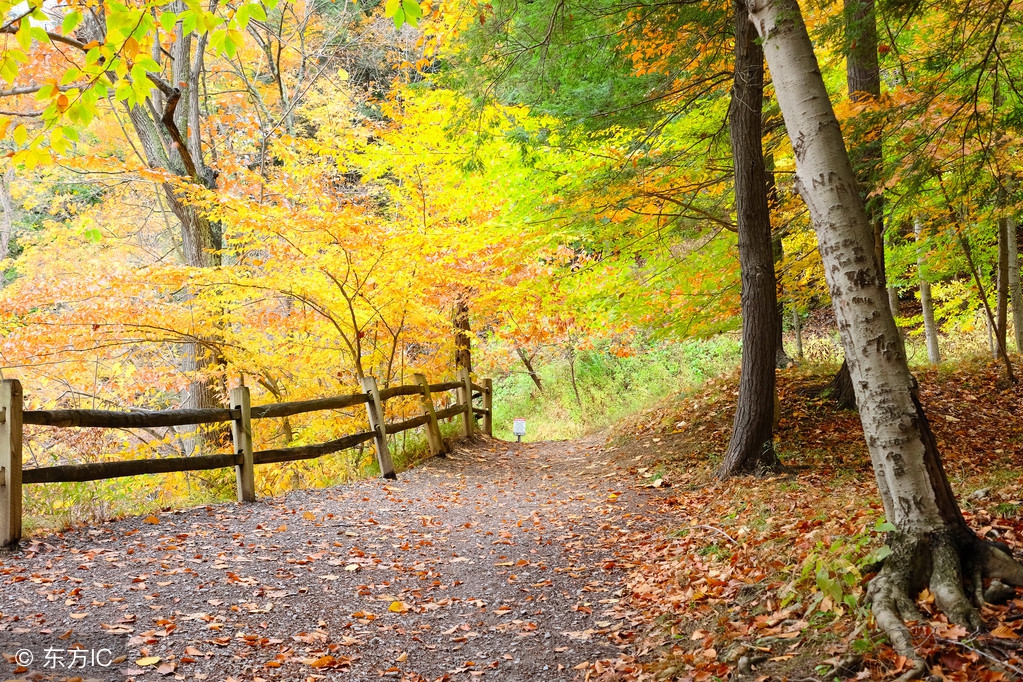 临沂天气寒冷注意防寒保暖,临沂雨季一般几月结束