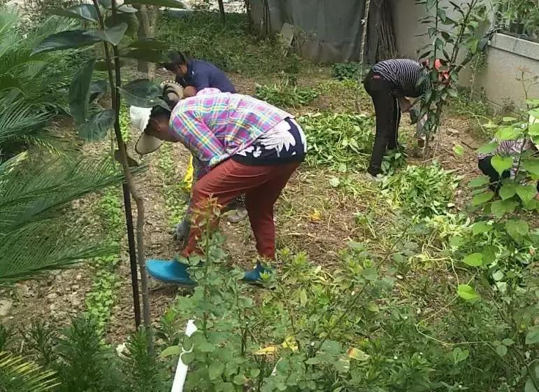 东阳市江北街道：一座城市一个家，文明江北靠大家！