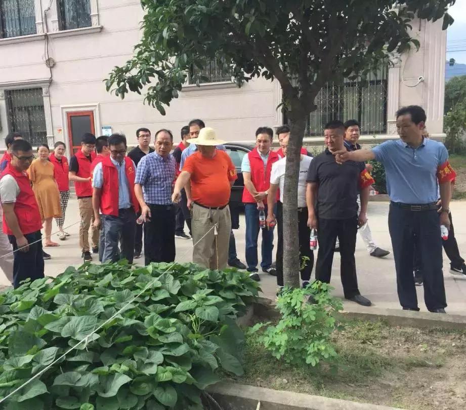 东阳市江北街道：一座城市一个家，文明江北靠大家！