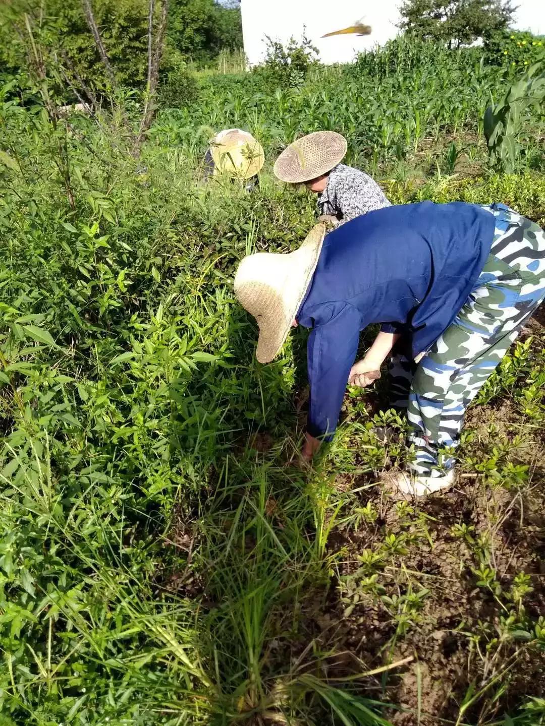 东阳市江北街道：一座城市一个家，文明江北靠大家！