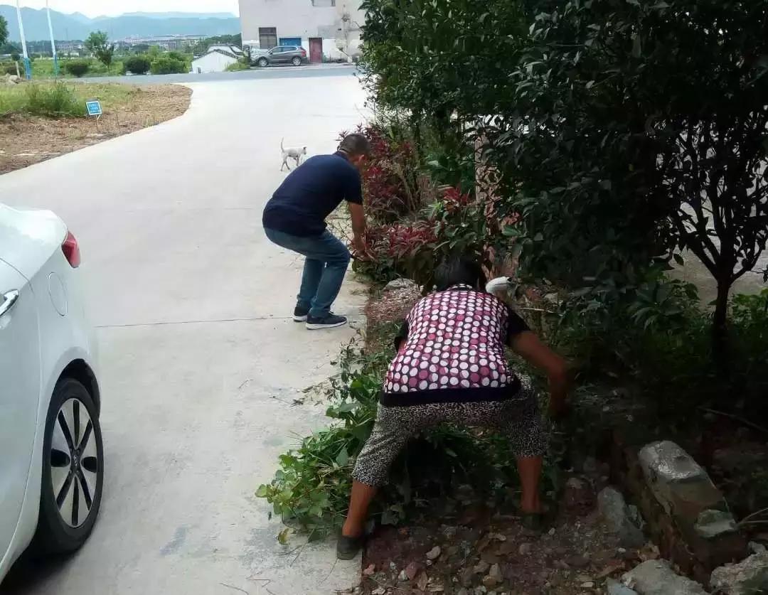 东阳市江北街道：一座城市一个家，文明江北靠大家！