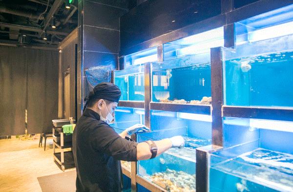 1点点开火锅店了?《天天向上》力荐的奶盖锅,整整20倍芝士!