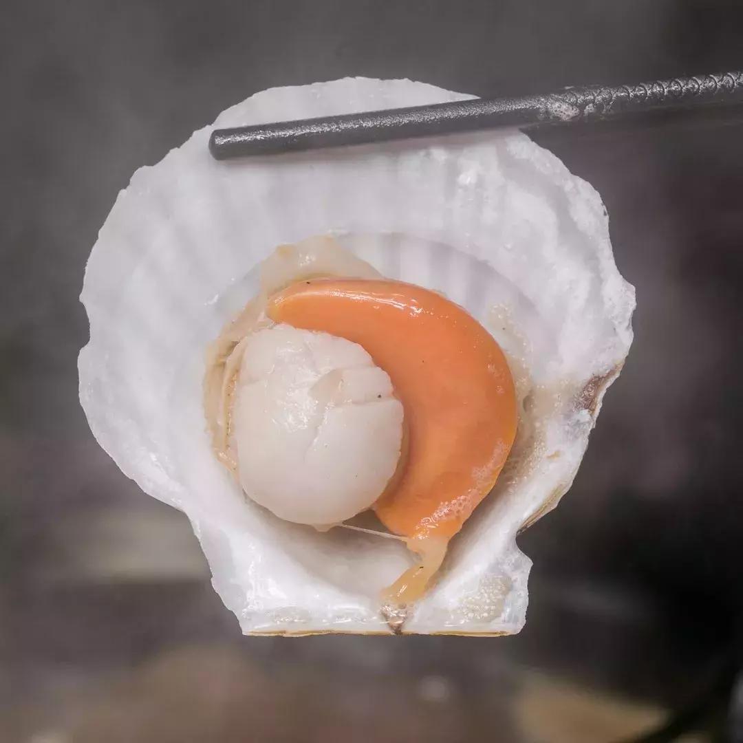 1点点开火锅店了?《天天向上》力荐的奶盖锅,整整20倍芝士!