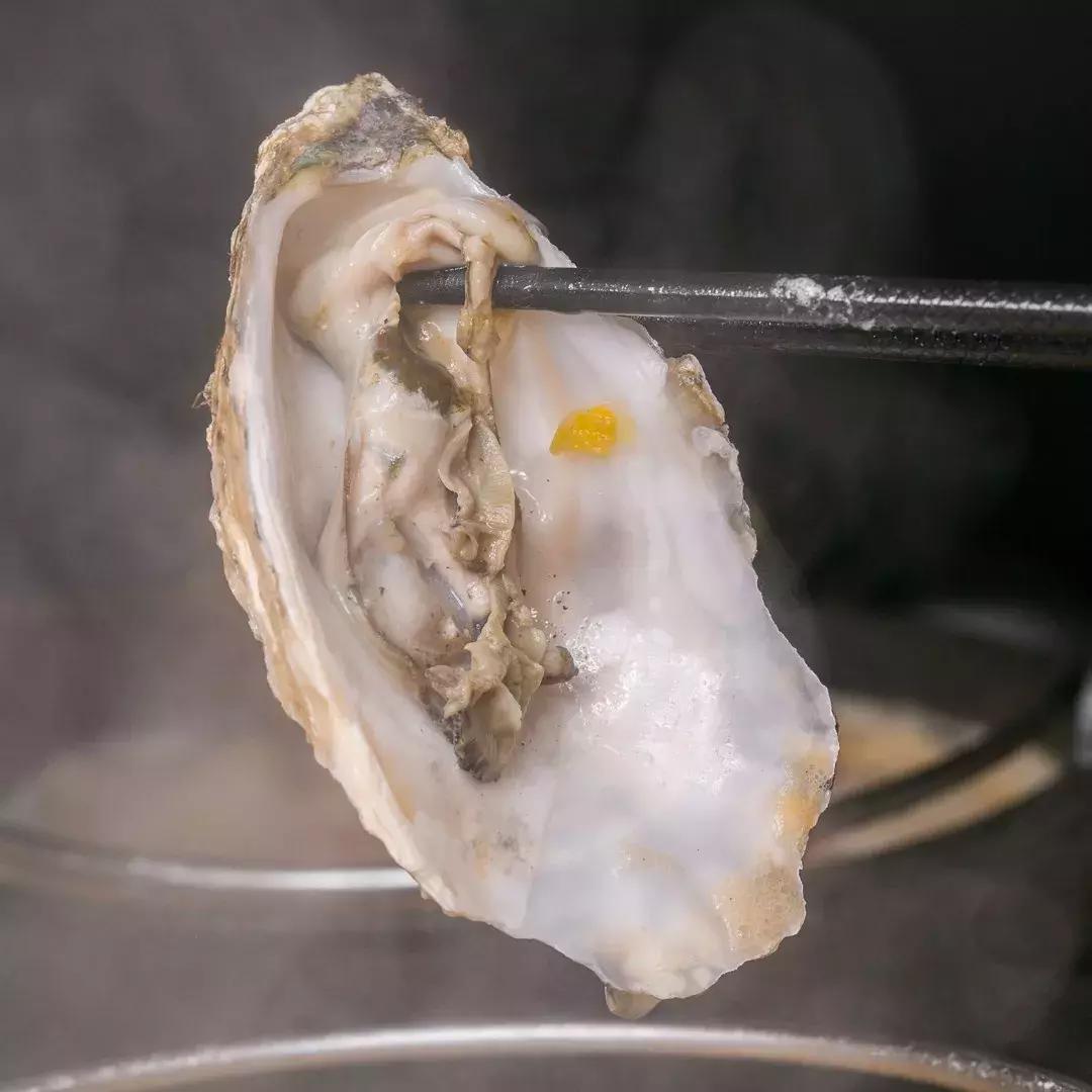 1点点开火锅店了?《天天向上》力荐的奶盖锅,整整20倍芝士!