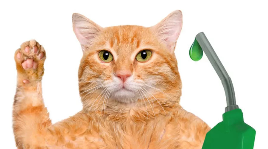 10个最省钱的护肤小知识,25个医生想告诉你的健康小常识