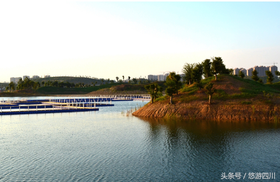 苏东坡嗜好,苏东坡喜欢喝的茶