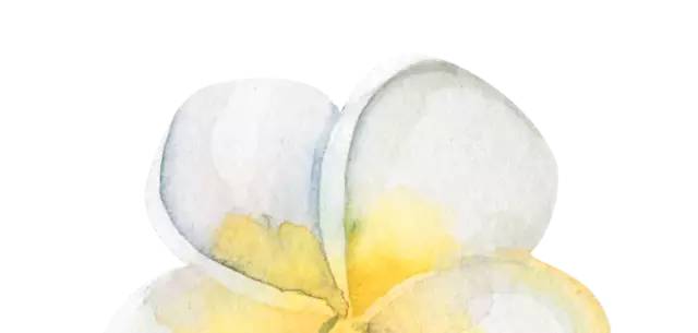 冻手冻脚的“四九”天来啦~和它一起来的还有霾