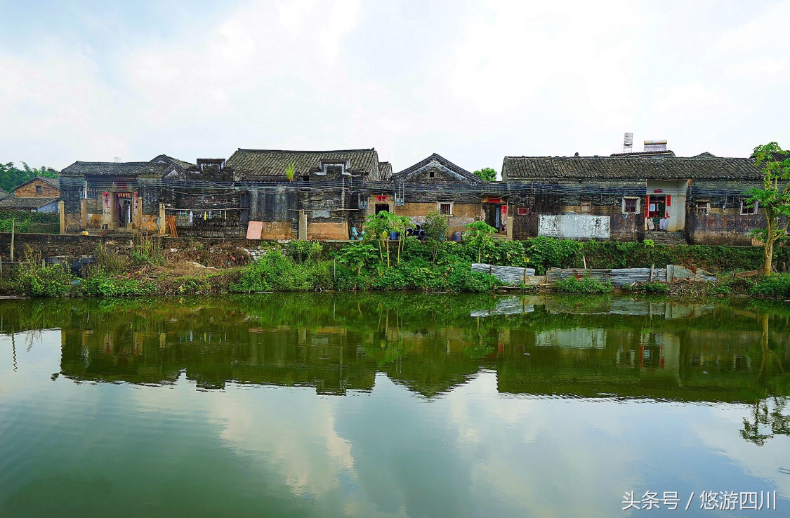 苏东坡嗜好,苏东坡喜欢喝的茶