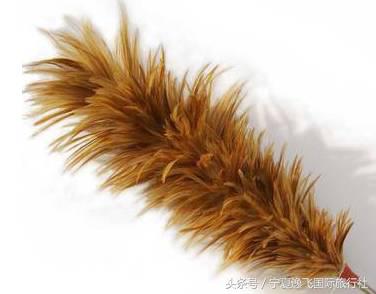 万万没想到，中国人玩剩下的东西现在却成了世界潮流！