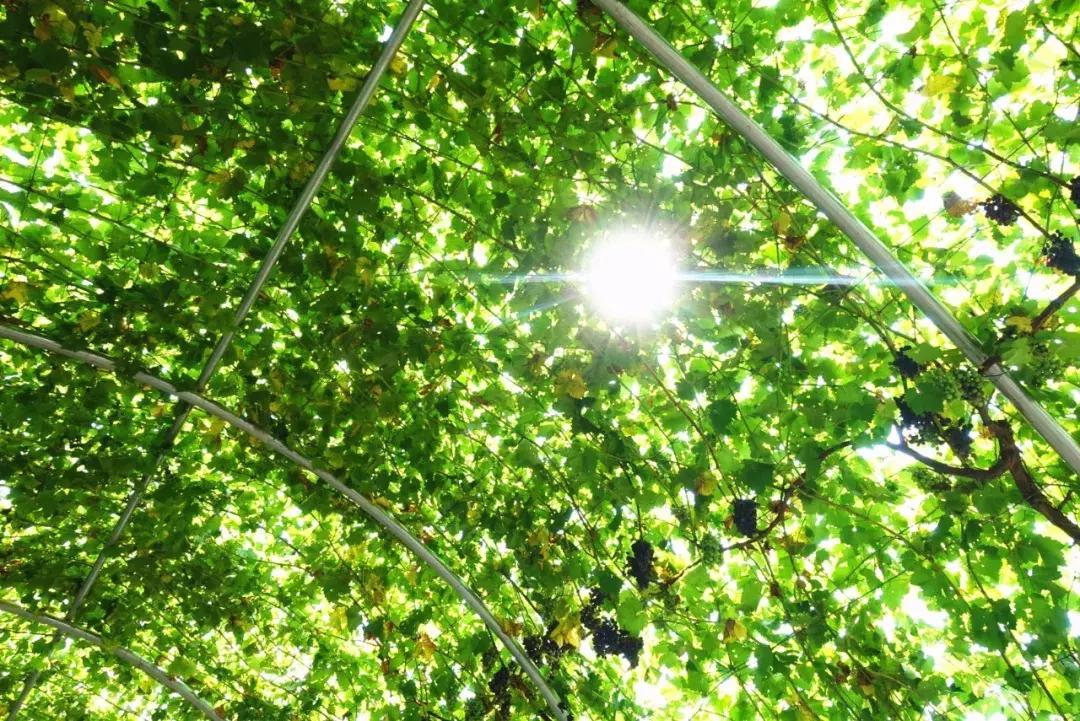 郑州男女约会适合去的地方,郑州曼哈顿哪个地方适合约会